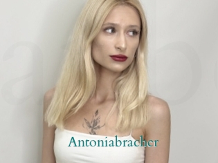 Antoniabracher