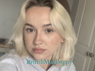 BritishMissPoppy