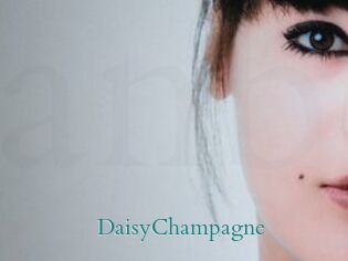 DaisyChampagne