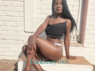 Darkberry1001