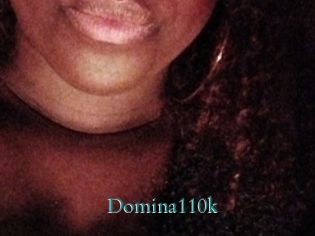 Domina110k