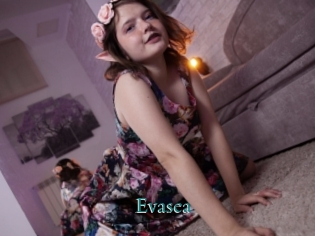 Evasea