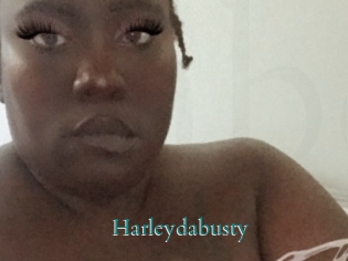 Harleydabusty