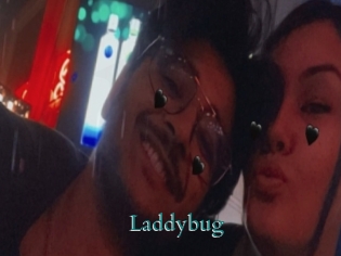 Laddybug