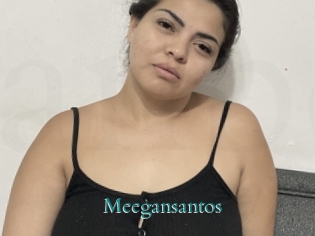 Meegansantos