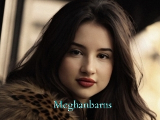 Meghanbarns
