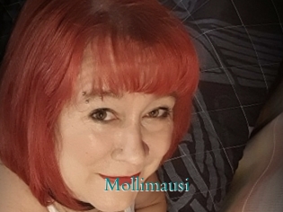 Mollimausi