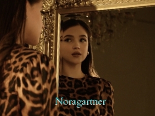 Noragartner