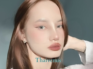 Thaivenus