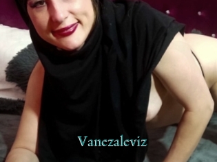 Vanezaleviz